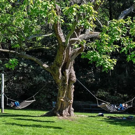 Ruhiges In Der Naehe Von Park Und Krankenhaus Mit Gratis Parkplatz Apartmán *