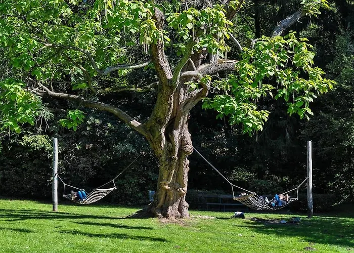 Ruhiges In Der Naehe Von Park Und Krankenhaus Mit Gratis Parkplatz Appartement *